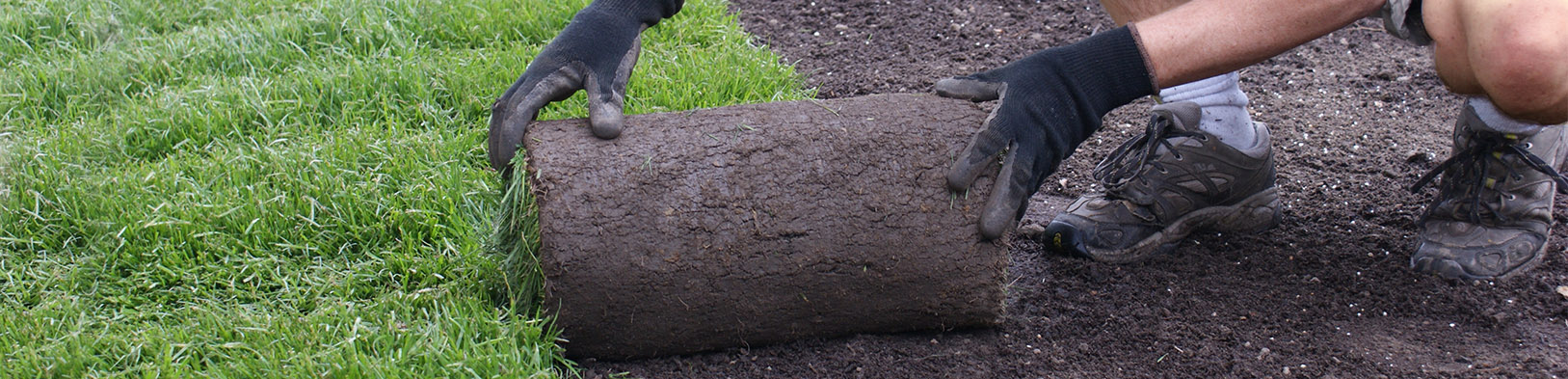 landscaper-laying-sod.jpg